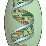 472_DNA-Final-lowres